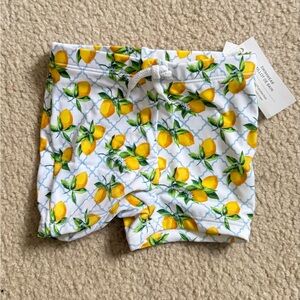 NWT Janie and Jack Toddler Boy Lemon Print Swim Shorts